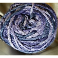 Vinnis Serina Variegated Purple Fantasy 6010