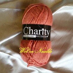 Charity DK 054 Coral Rose 100g