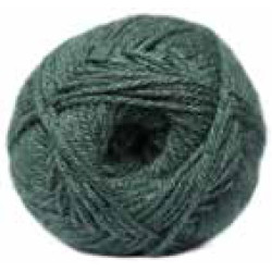 Charity DK 737 Cilantro 100g