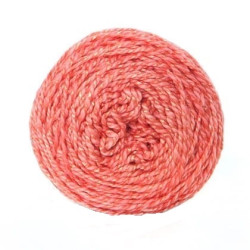 Eco-Fusion Pickled Ginger 50g