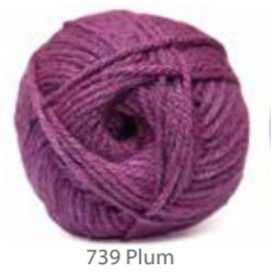 Charity DK 739 Plum 100g