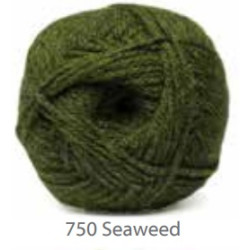 Charity DK 750 Seaweed 100g