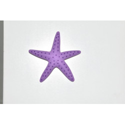 Eva charm Starfish Purple